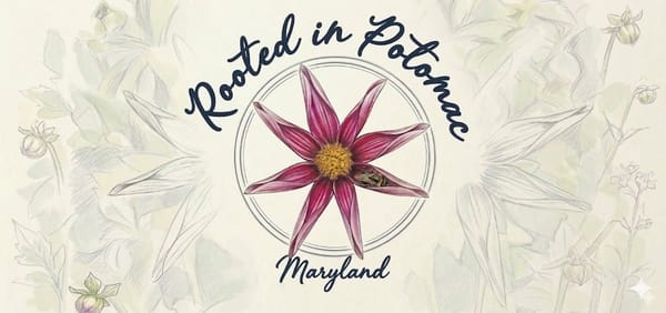 Welcome to Rooted in Potomac