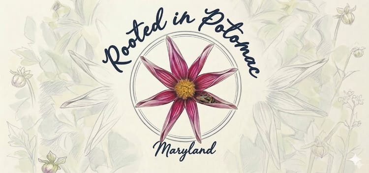Welcome to Rooted in Potomac