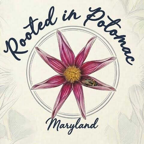 Rooted in Potomac Maryland logo